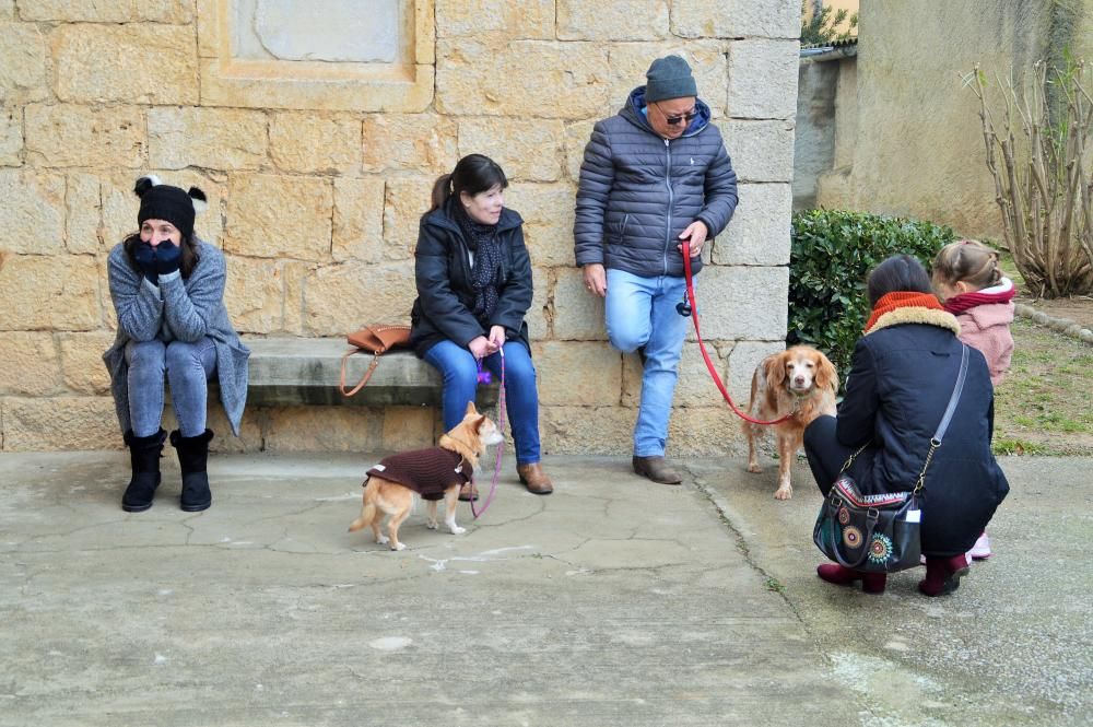 Vilatenim compleix la tradició de Sant Antoni