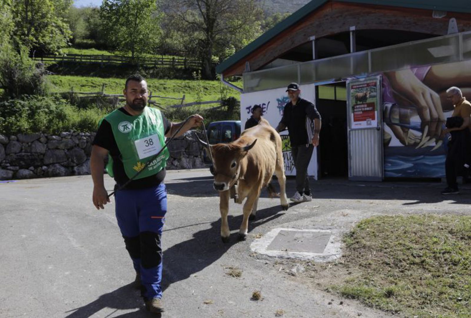 El concurso nacional de la vaca casina