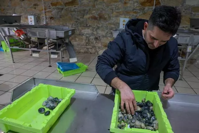 Los parquistas denuncian que la cofradía de Carril permitió vender fuera de la lonja