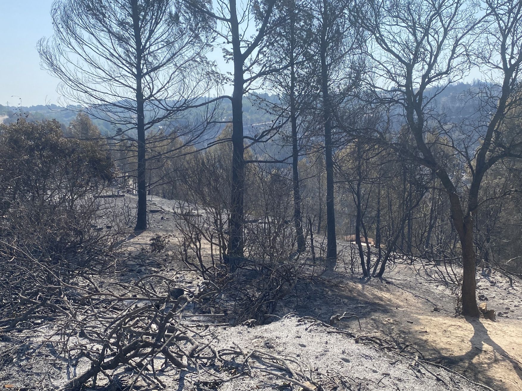 La urbanització River Park arrasada per les flames: veïns desolats i paisatge negre