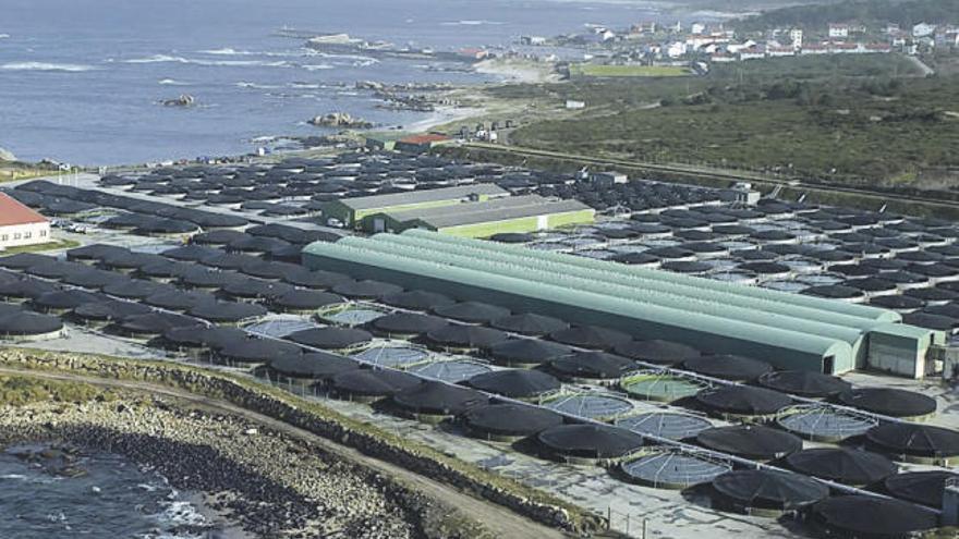 Vista de una piscifactoría en la costa de Camariñas.  // Iñaki Abella