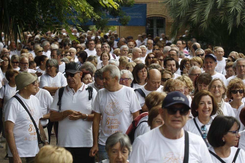 Paseo saludable por el Día Internacional de las Personas Mayores