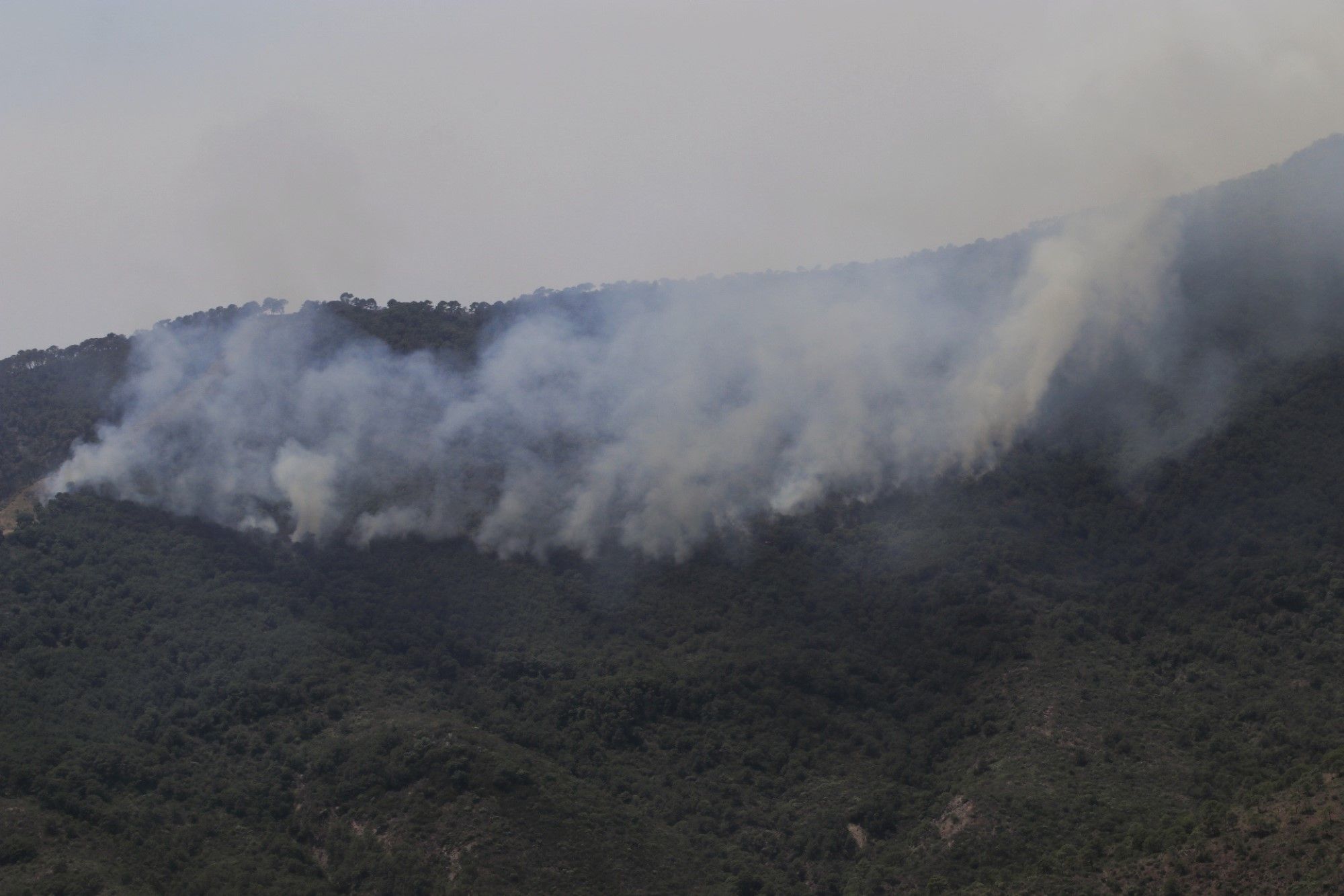 Un millar de efectivos trabajan para controlar el fuego de Sierra Bermeja