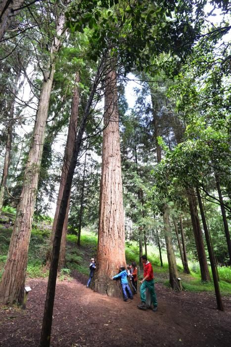 El Jardín Botánico de Lourizán, un pulmón verde