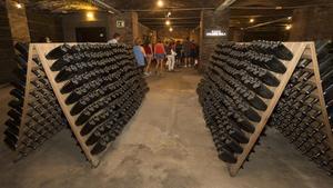 zentauroepp35195298 sant sadurn  d anoia 18 08 2016 turistas turismo en la empre171006120216