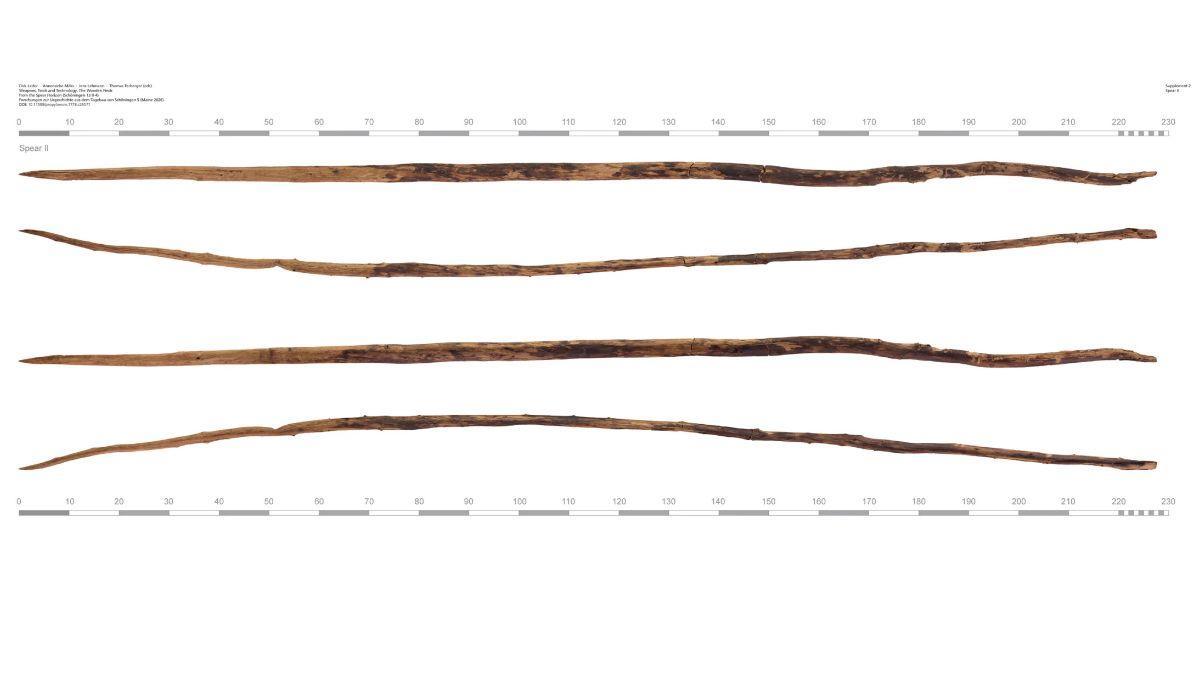 Múltiples imágenes de una de las lanzas halladas en Schöningen, Baja Sajonia, Alemania, que se cree que tiene entre 200.000 y 300.000 años de antigüedad.