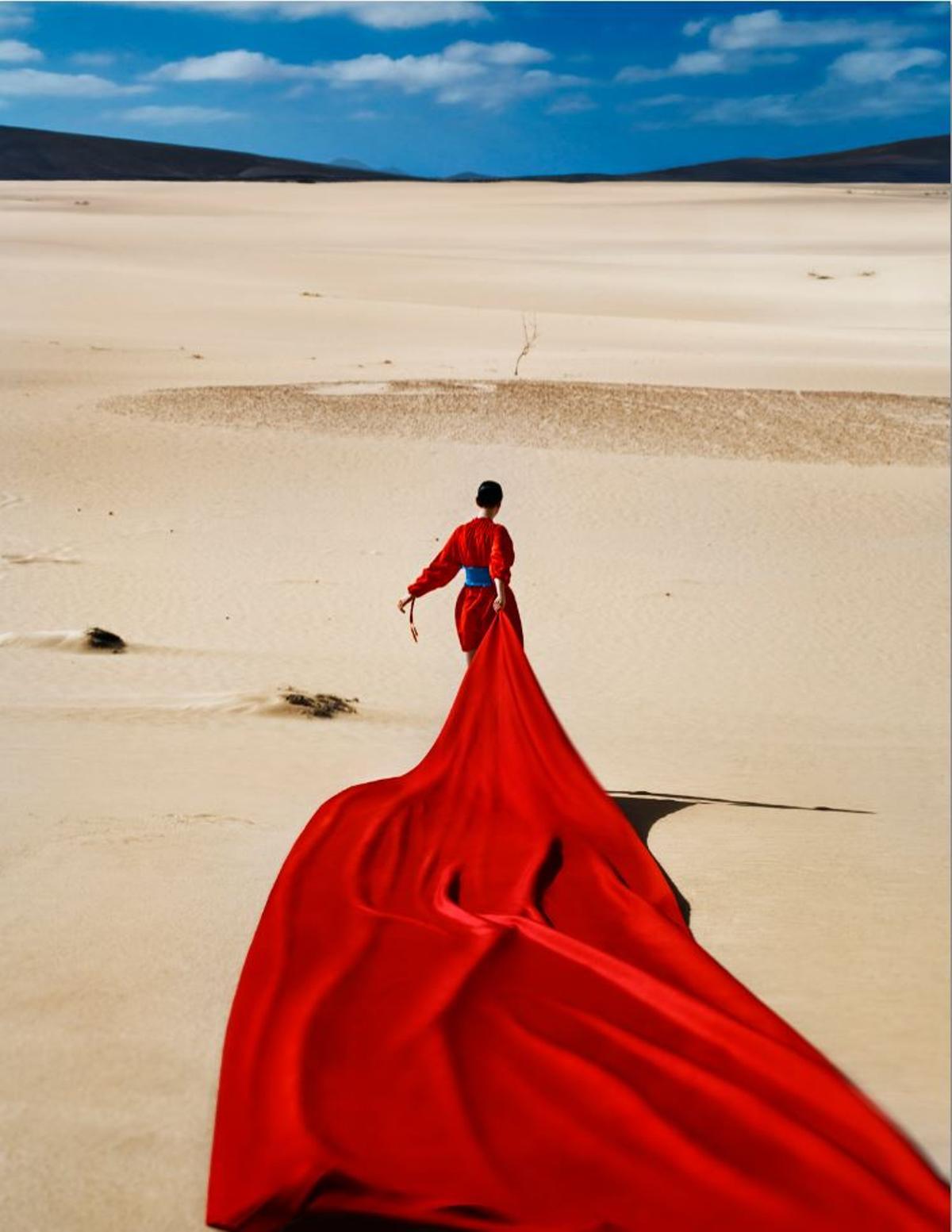 'Red Tail Over Sand' de Txema Yeste.