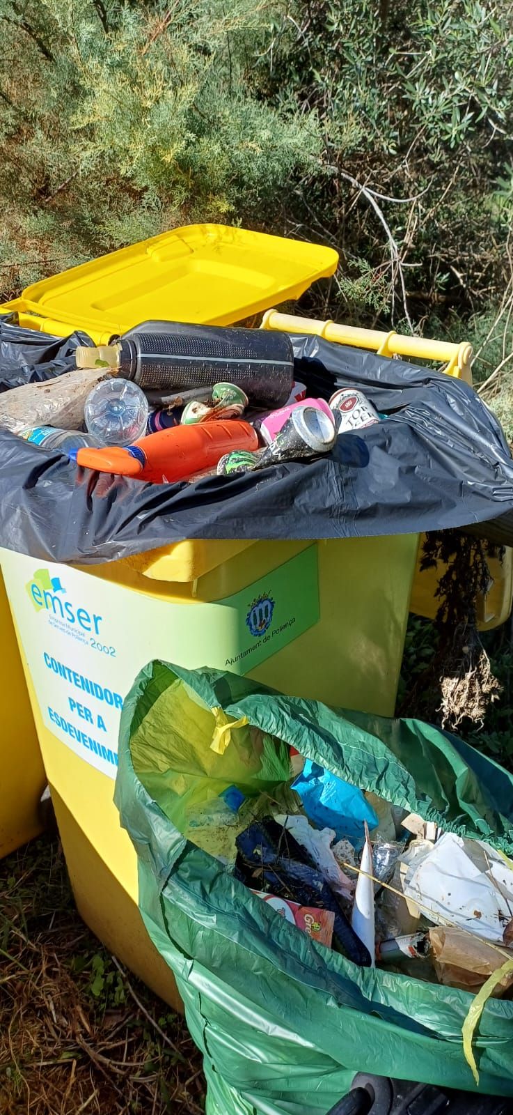 Las imágenes de la jornada de limpieza en el parque de la Gola