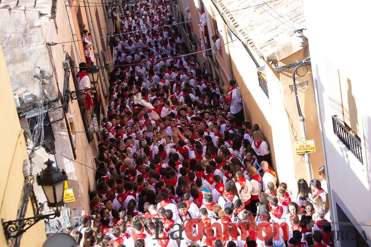 Caballos del Vino en la cuesta de la Simona