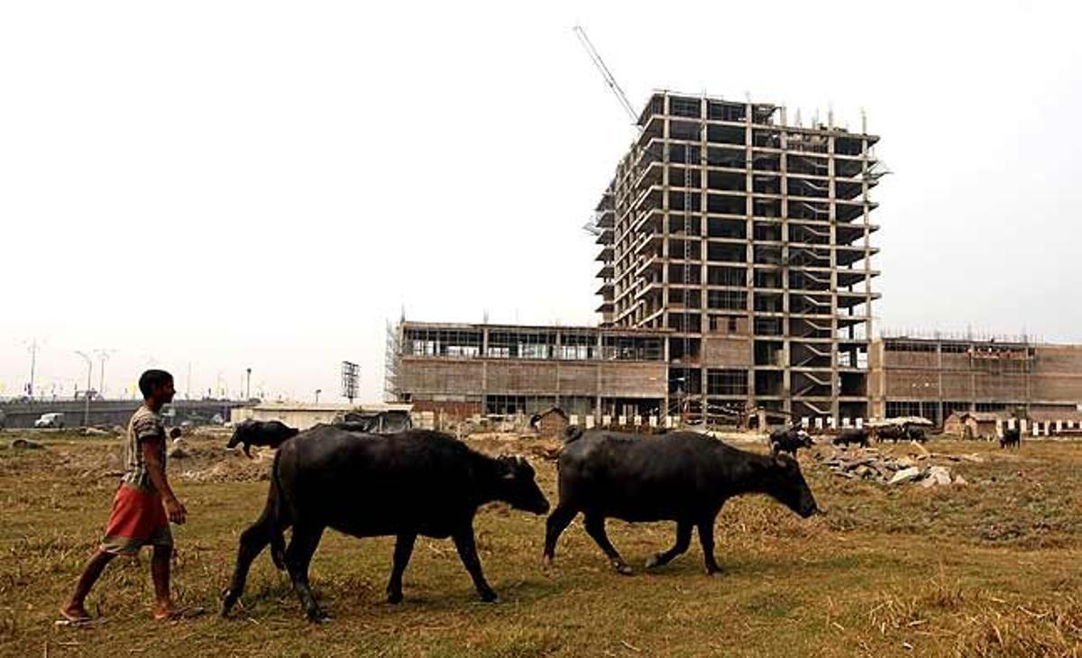 Un home camina amb els seus dos búfals a prop d’una urbanització en construcció a Kolkata (Índia).