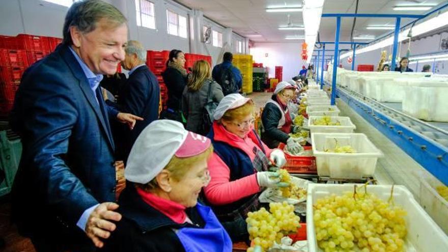 2 de cada 3 uvas consumidas en España en Nochevieja son de Alicante