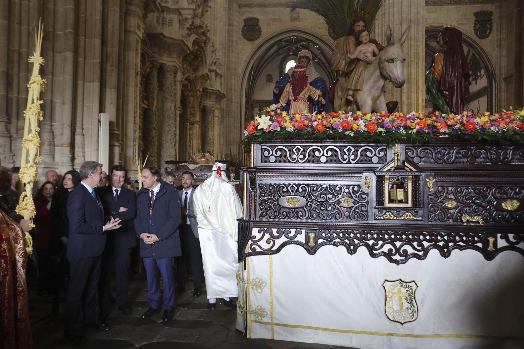 Feijóo asiste a la procesión de La Borriquilla en Salamanca