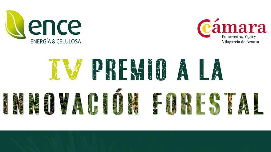 Ence y la Cámara de Comercio premian a las mejores iniciativas empresariales del ámbito forestal local