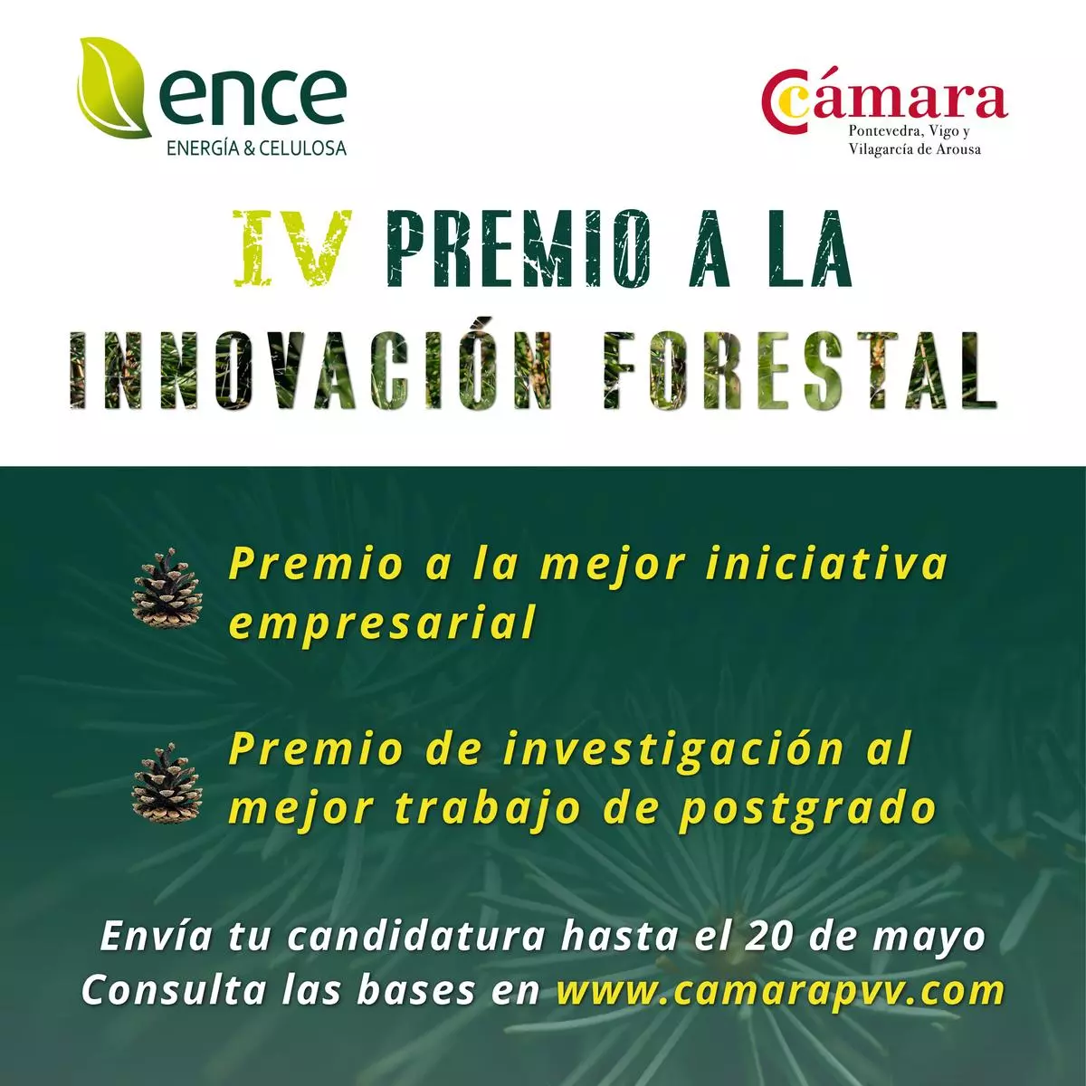 Ence y la Cámara de Comercio premian a las mejores iniciativas empresariales del ámbito forestal local