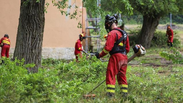 Maniobras de la UME con maquinaria contra incendios en Monte la Reina.  | ALBA PRIETO