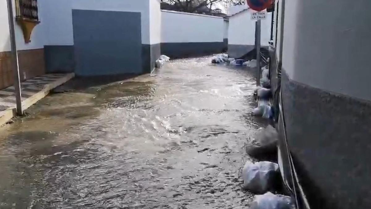 Cuevas del Becerro se desborda