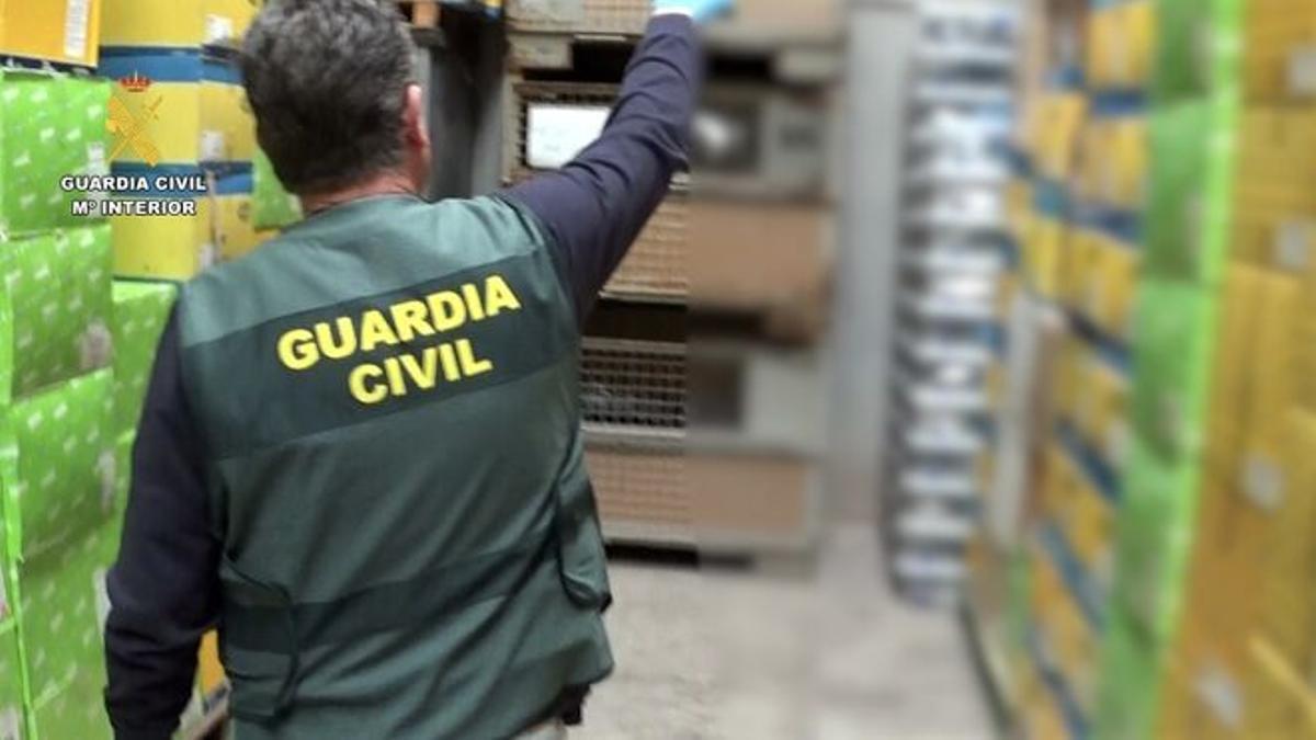 Un agent de la Guàrdia Civil durant l'operació per desarticular la banda criminal