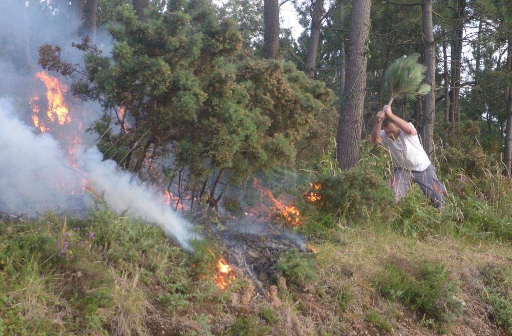 Incendio forestal en A Illa