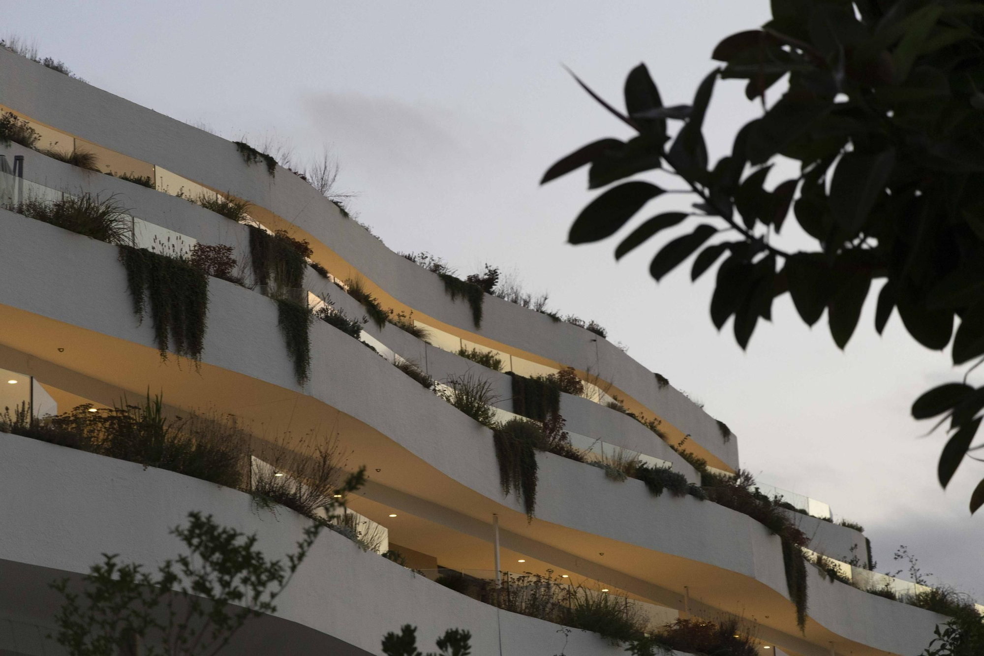 Espectacular inauguración de Delfin Natura en El Albir
