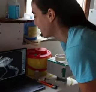 El Zoo del Pirineu dispara la capacitat de recuperar animals amb el nou equip de radiologia