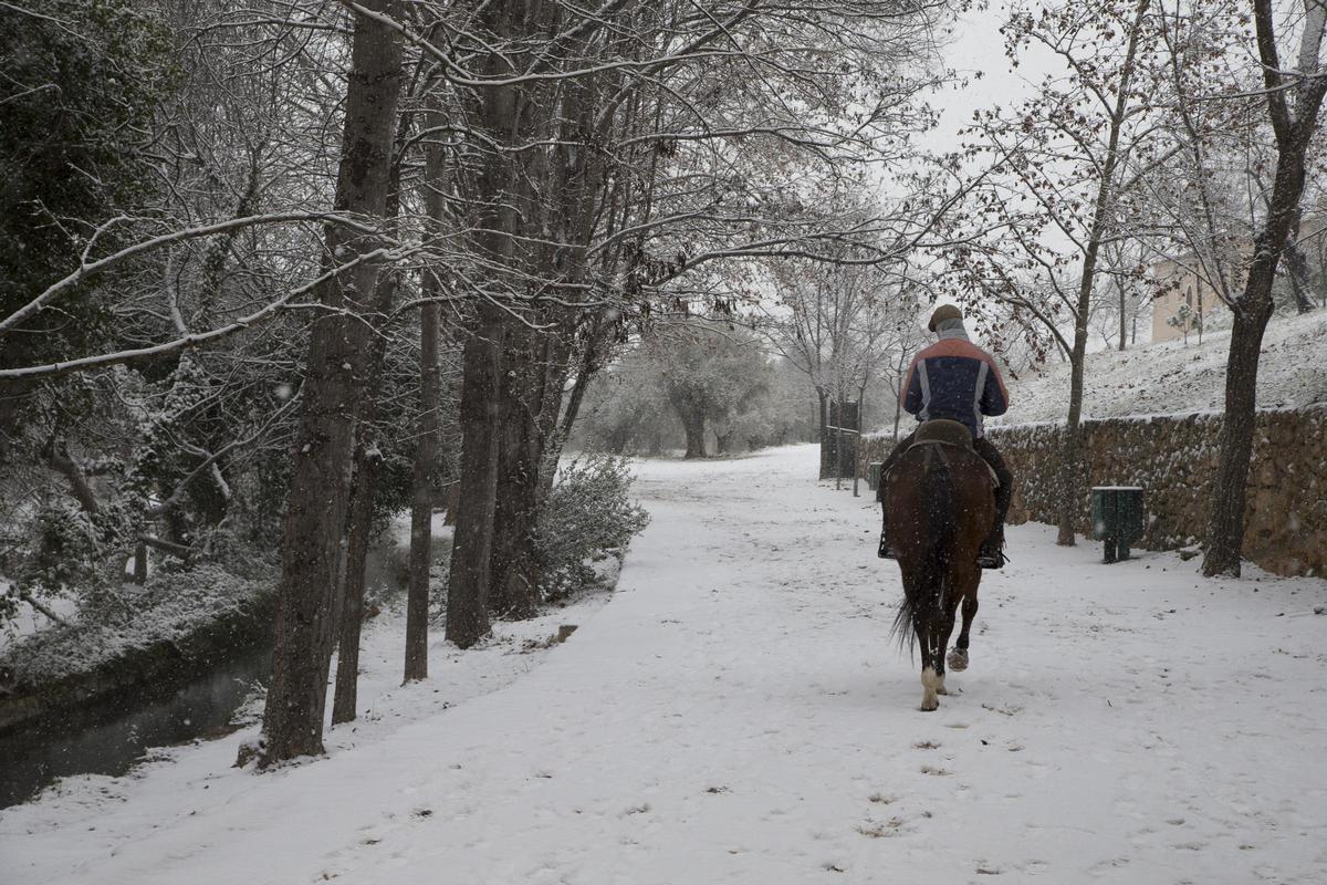 Paraje de las Fuentes del Marqués en Caravaca, durante la nevada de enero de 2017