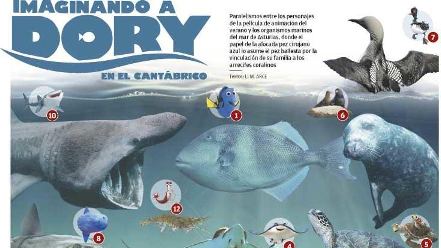 Buscando a Dory en el Cantábrico