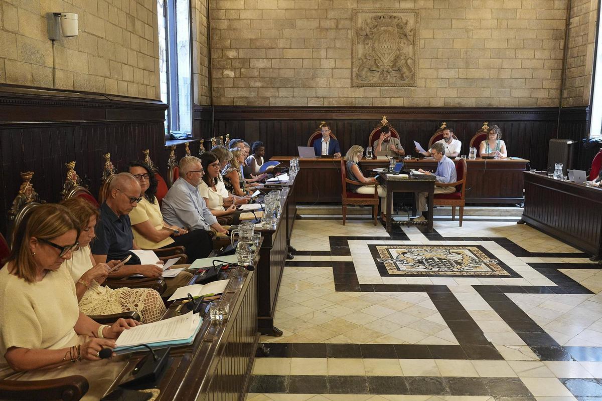 Una imatge del ple d'aquest dilluns a la tarda.