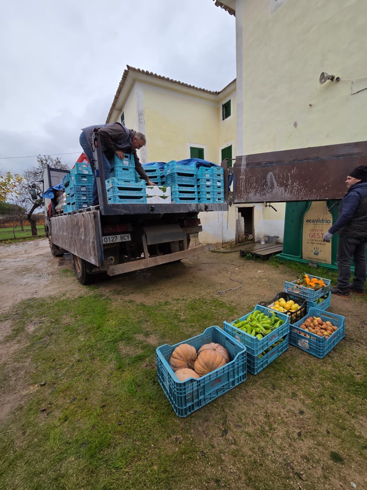Asaja entrega 10.000 kilos de alimentos a Can Gazà