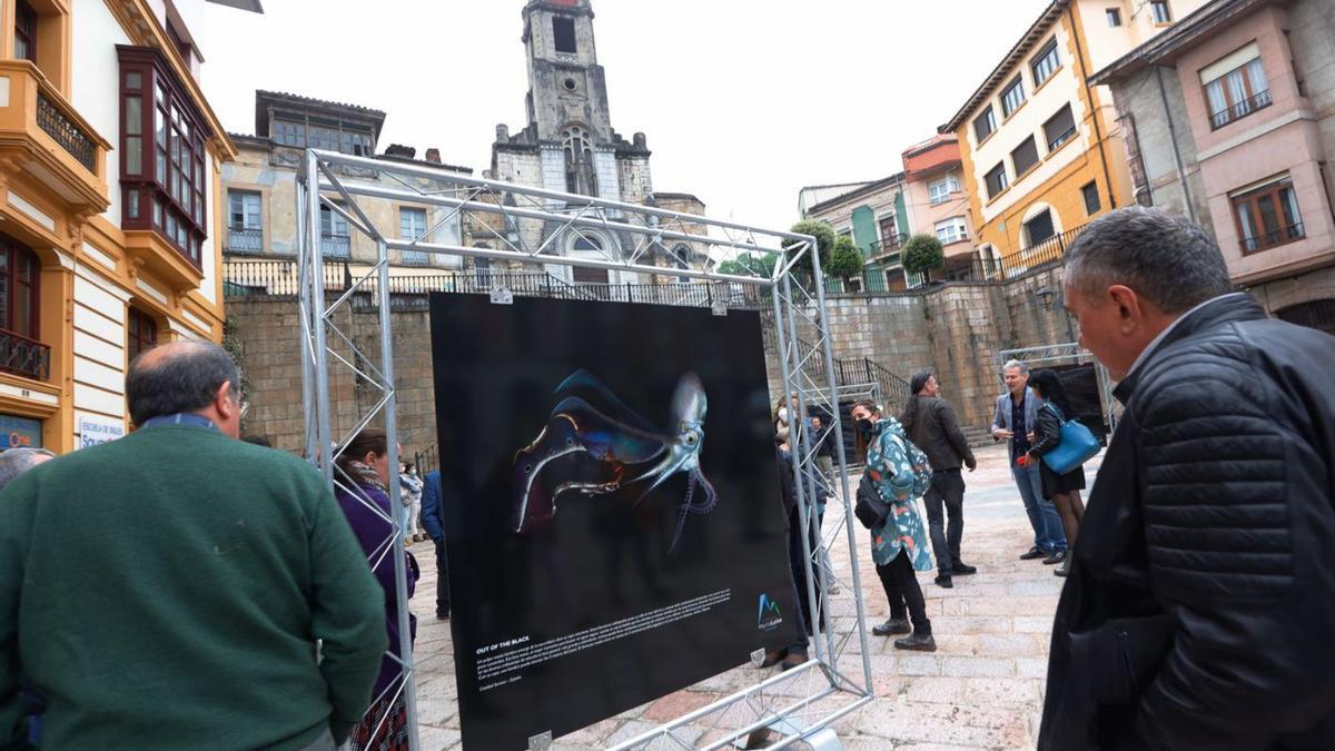 Asistentes al acto, ante una de las fotografías que componen la muestra. | Miki López