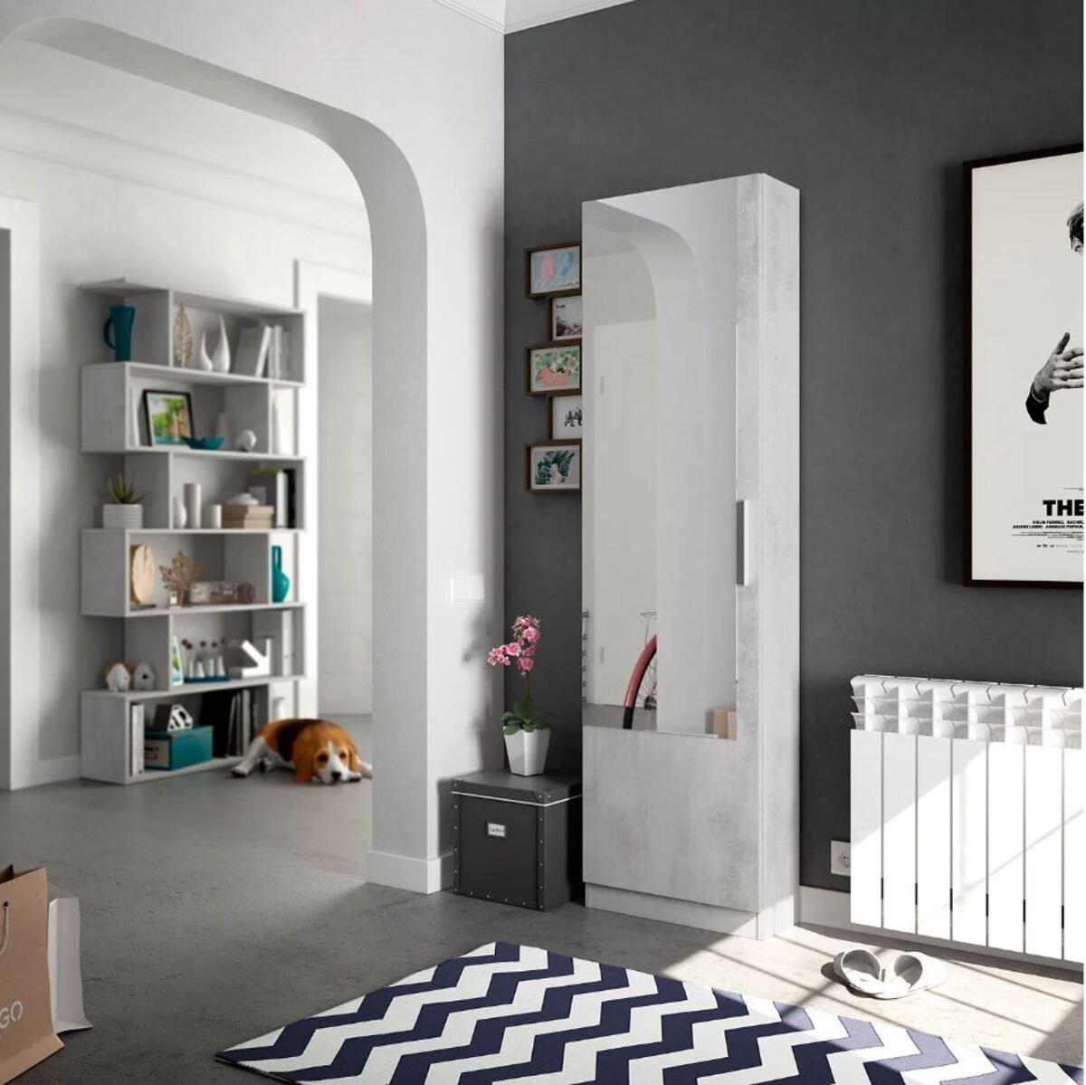 Armario zapatero espejo | Este modelo destaca por su gran capacidad y su estética moderna