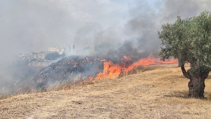 Un incendio junto a la ladera del Río de Oro afecta a la barriada Buenos Aires de Puente Genil