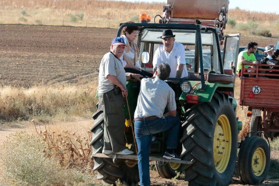 Fiestas en Zamora: Encierro en El Pego