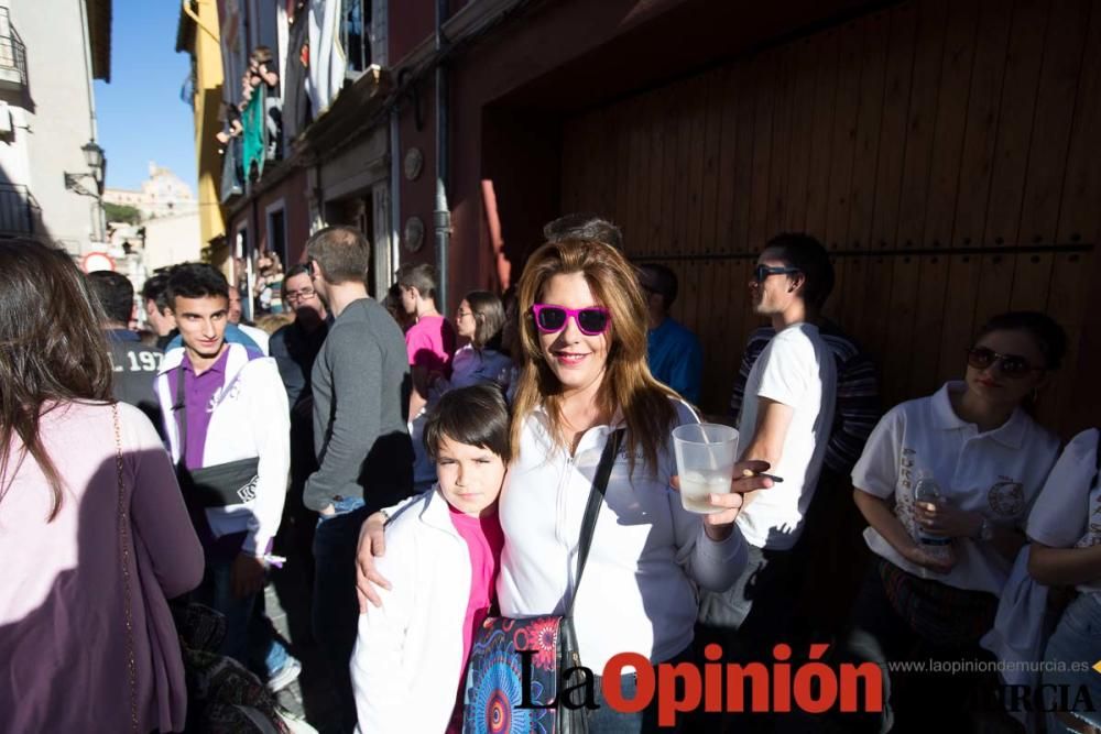 Caballo a pelo Caravaca (Desfile)