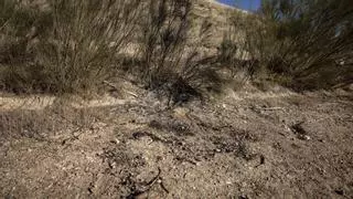 A la Guardia Civil se le amontonan los muertos en Aragón