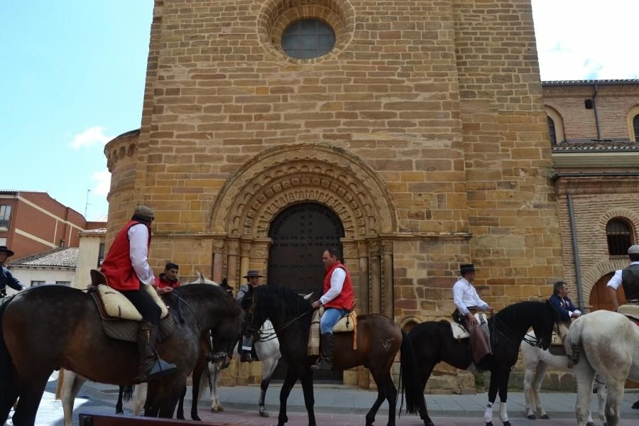 Día del Caballo en Benavente