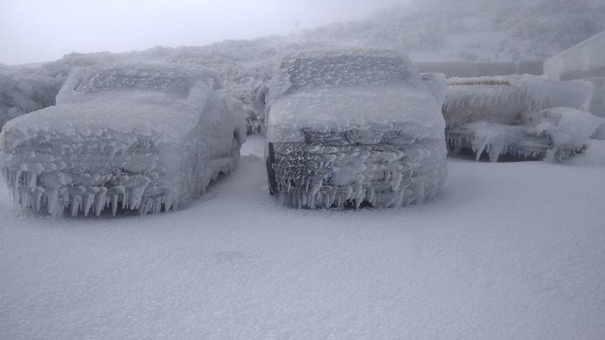 Vehículos afectados por la niebla helada