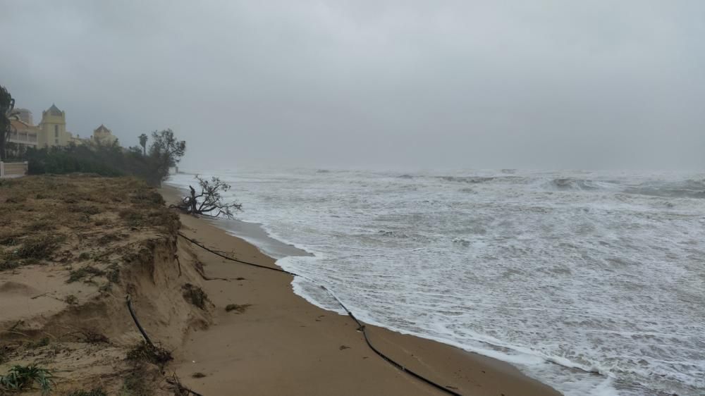 Efectos del temporal en la Safor