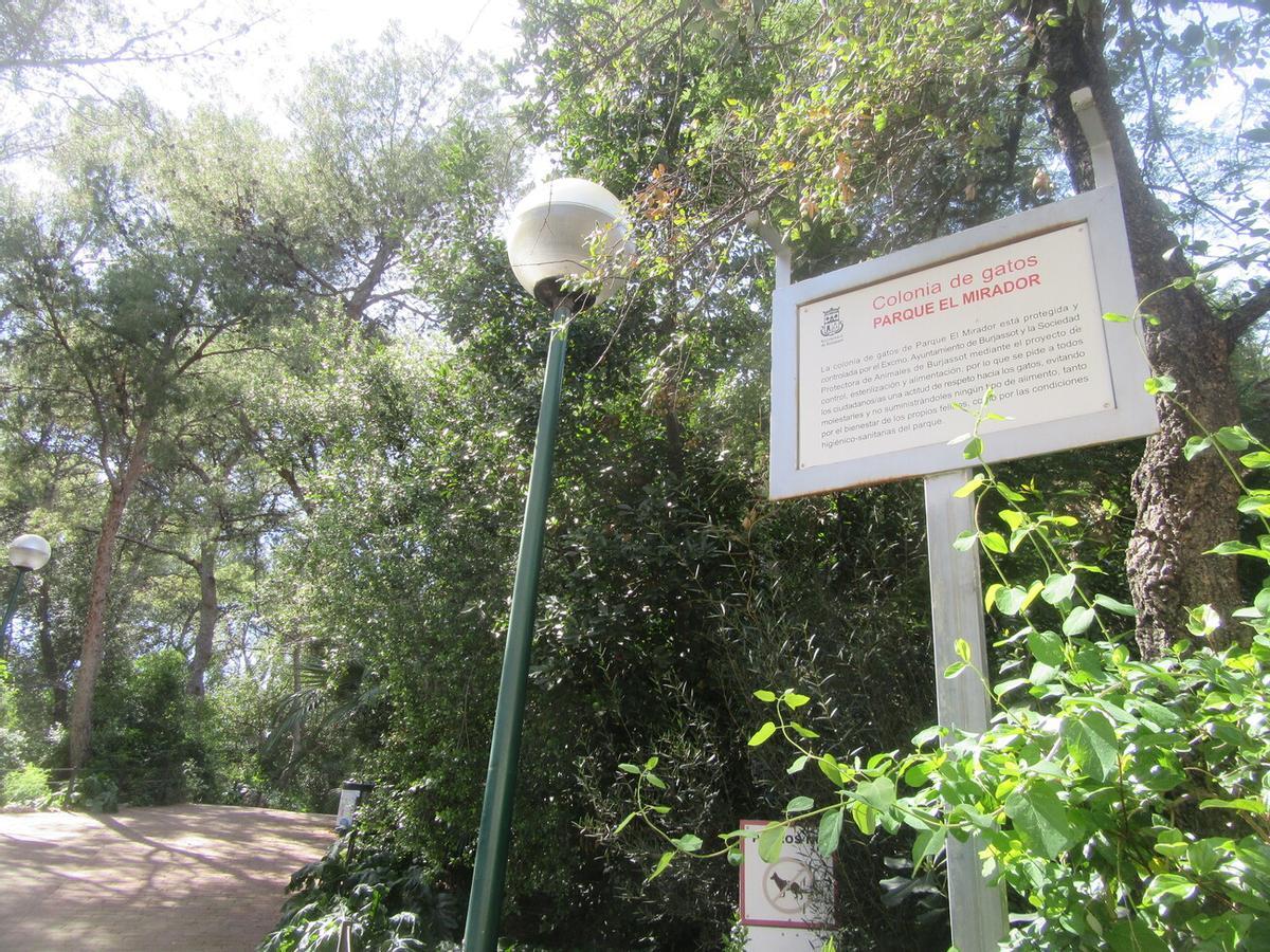 Colonia felina en el parque del Mirador de Burjassot.