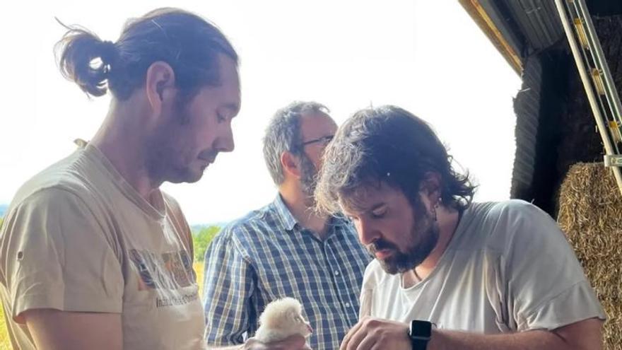 L’aliança entre el Grup de Natura i les masies del Solsonès impulsa l’estudi i la conservació d'aus