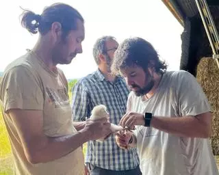 L’aliança entre el Grup de Natura i les masies del Solsonès impulsa l’estudi i la conservació d'aus