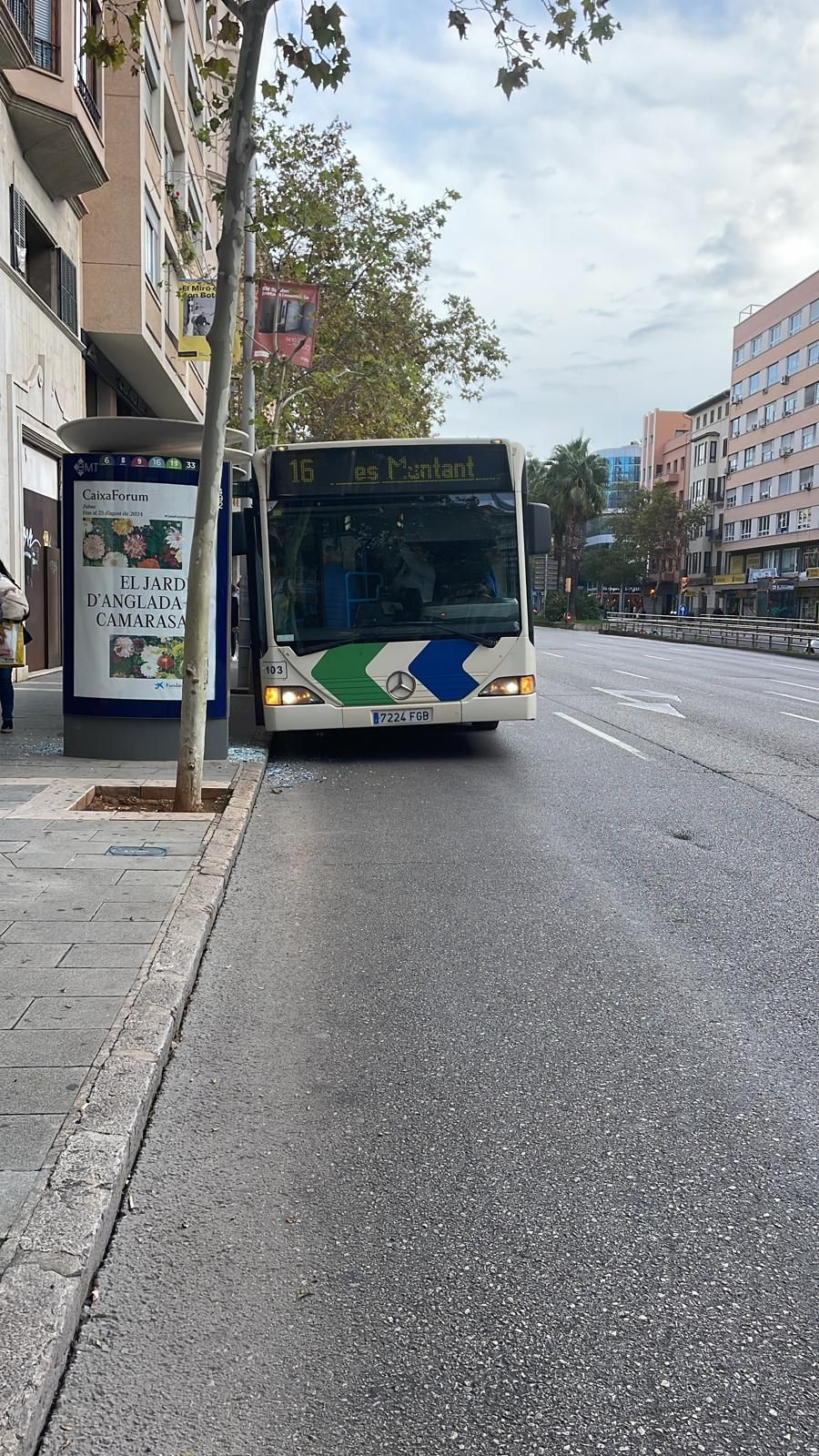 Una joven herida en Palma al reventar un autobús de la EMT una marquesina