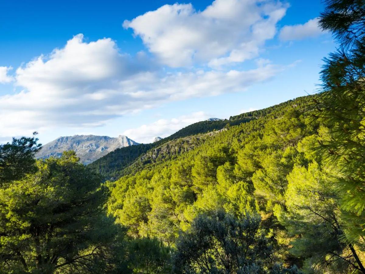 Parque Natural Sierras de Tejeda, Almijara y Alhama
