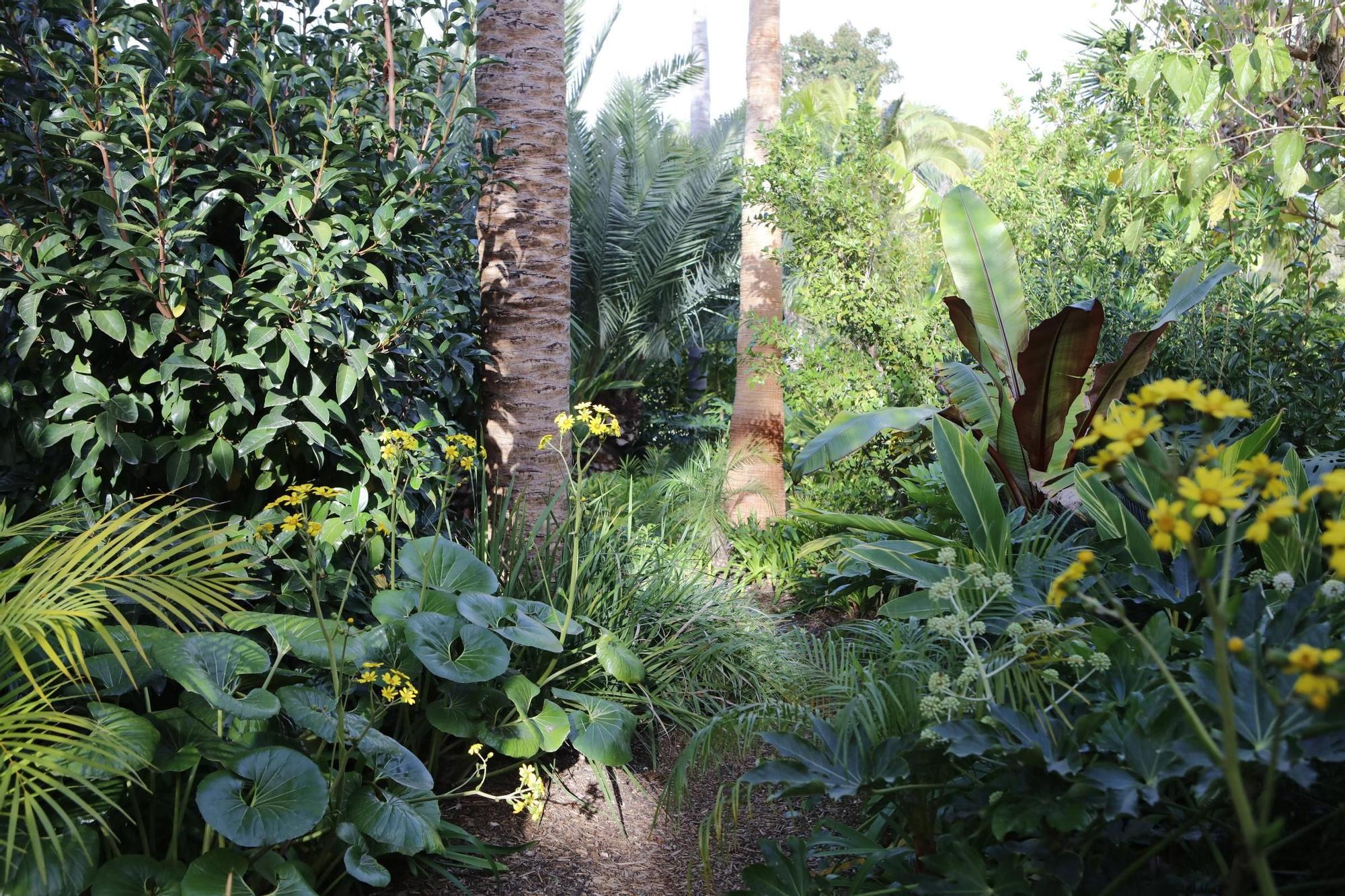 Ein Garten auf Mallorca ganz in Öko