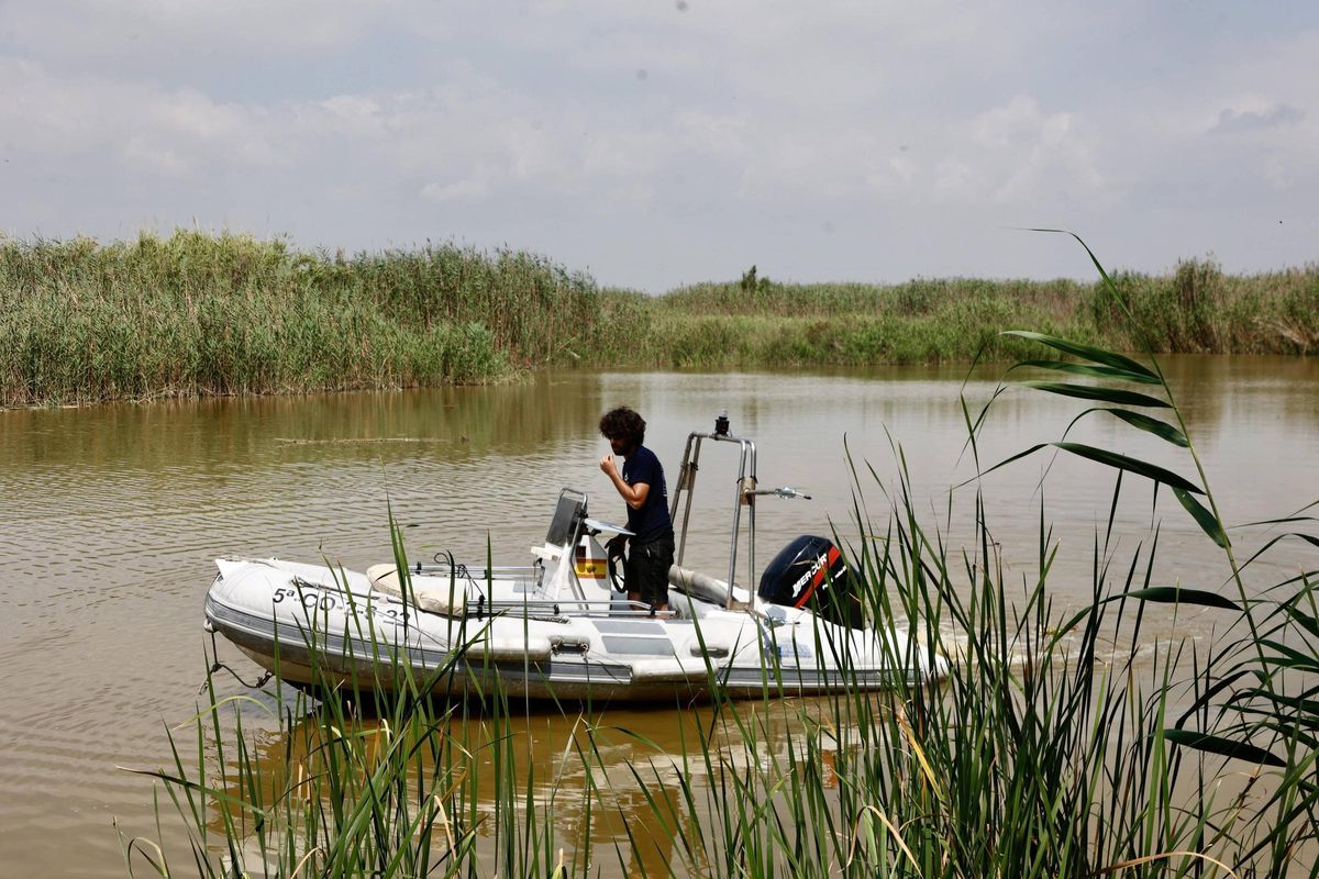 Medición de la profundidad de la Albufera para saber donde dragar el fango