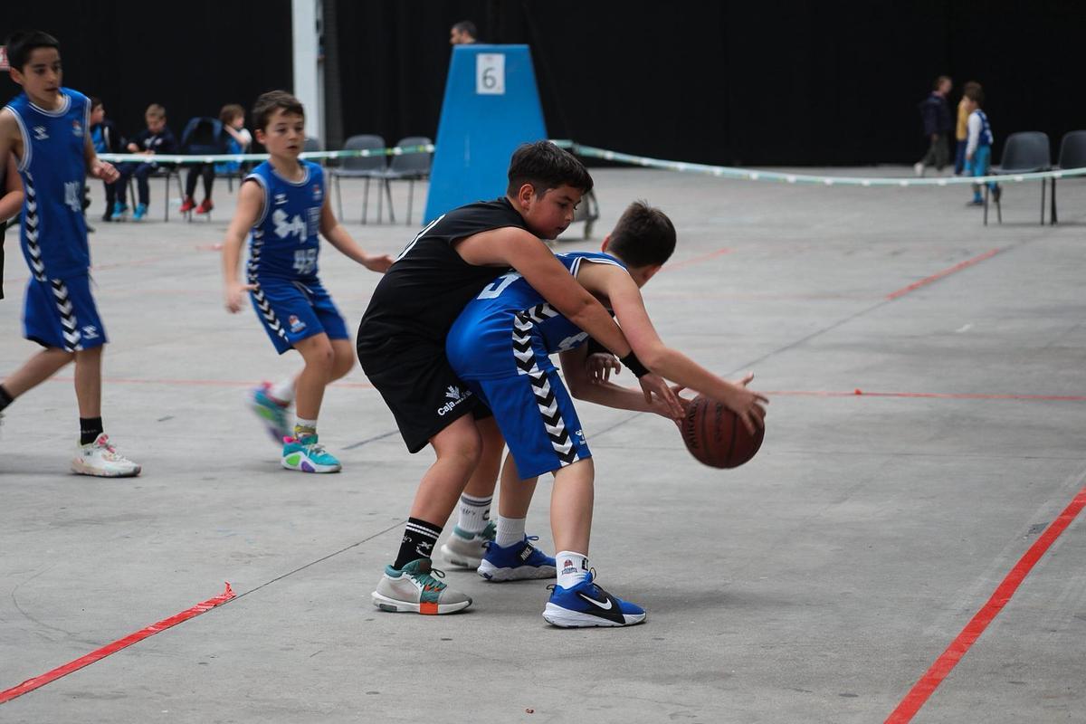 La Fanatic Mini regresa a Zamora La Fanatic Mini regresa a Zamora