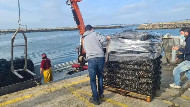 Los bateeiros amagan con una huelga indefinida