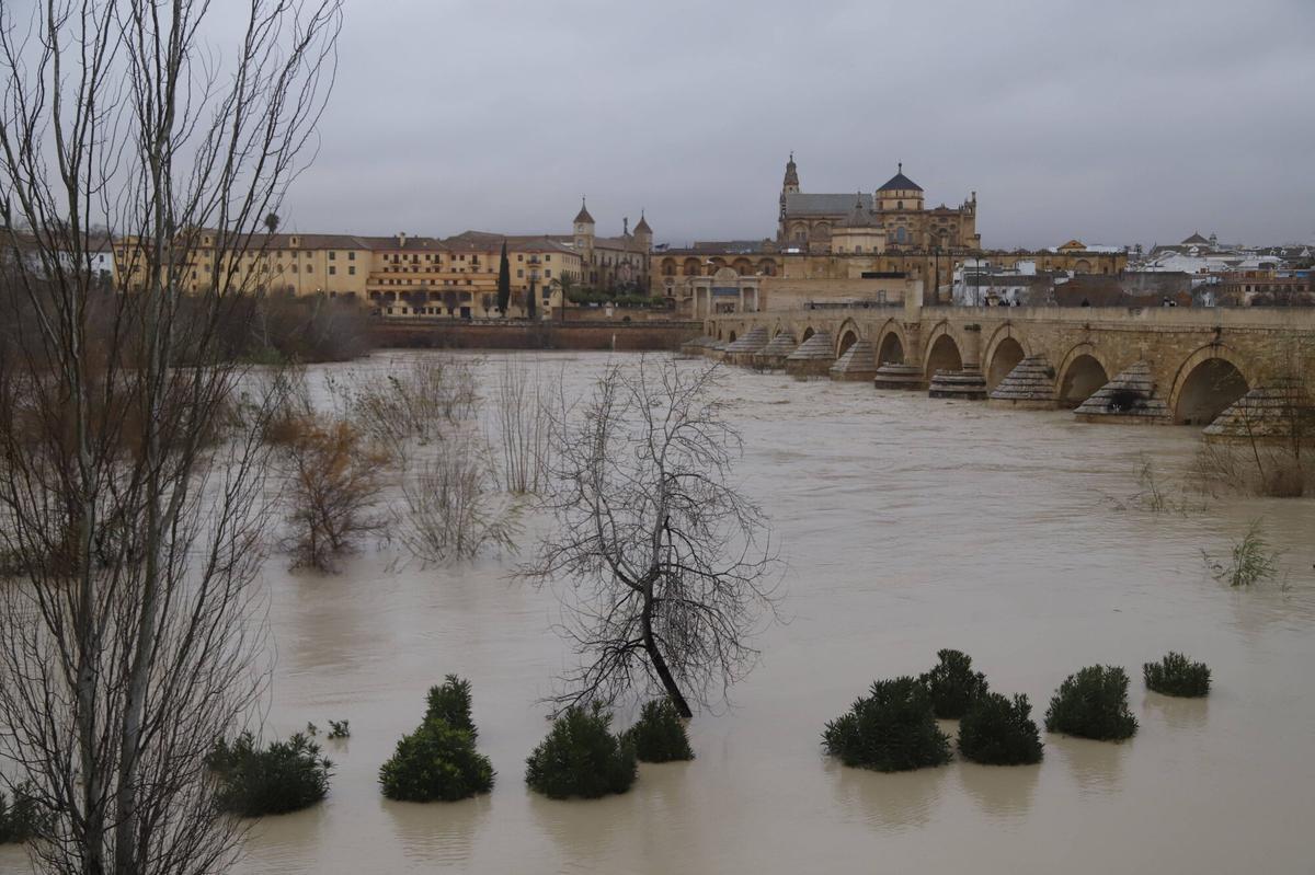 El río Guadalquivir, en umbral rojo a su paso por la capital