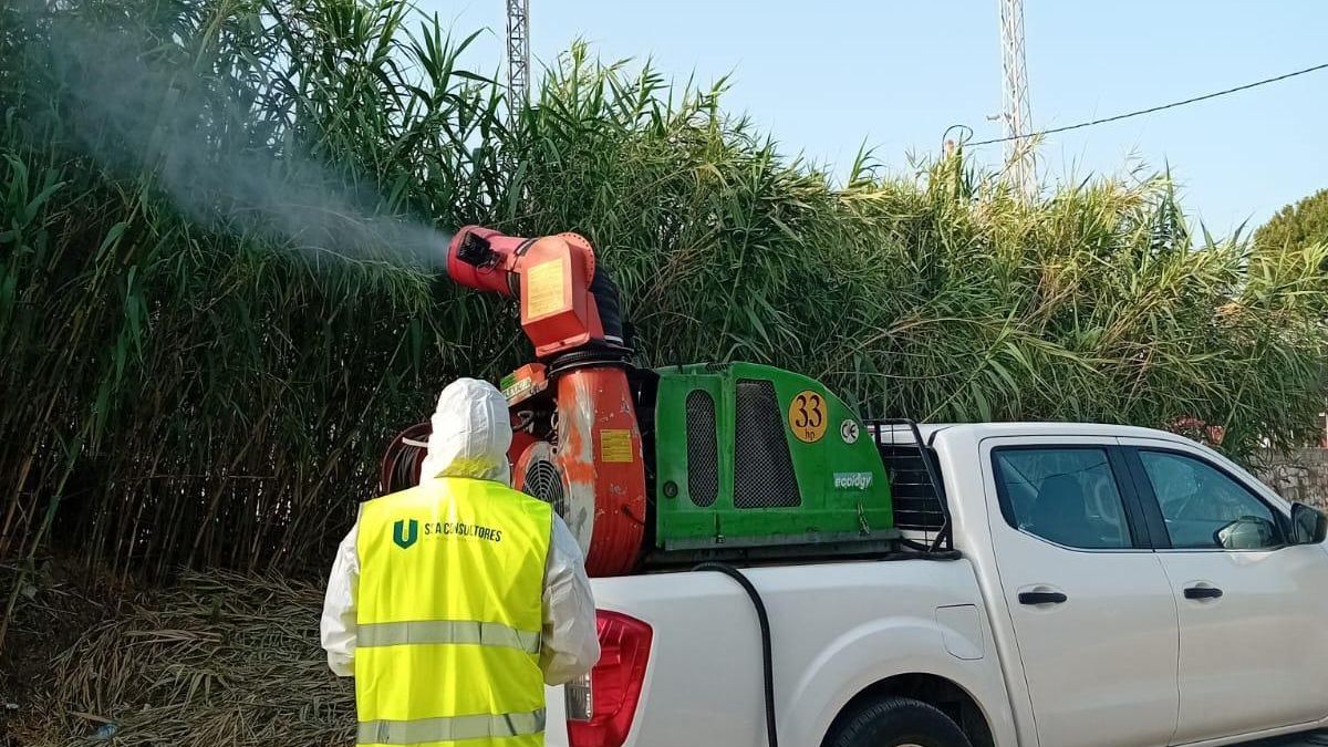 Una empresa especializada se encarga de la fumigación.