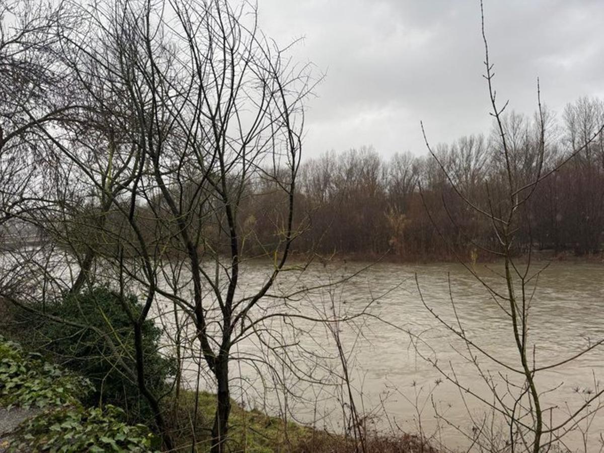 Una imatge del riu Ter.