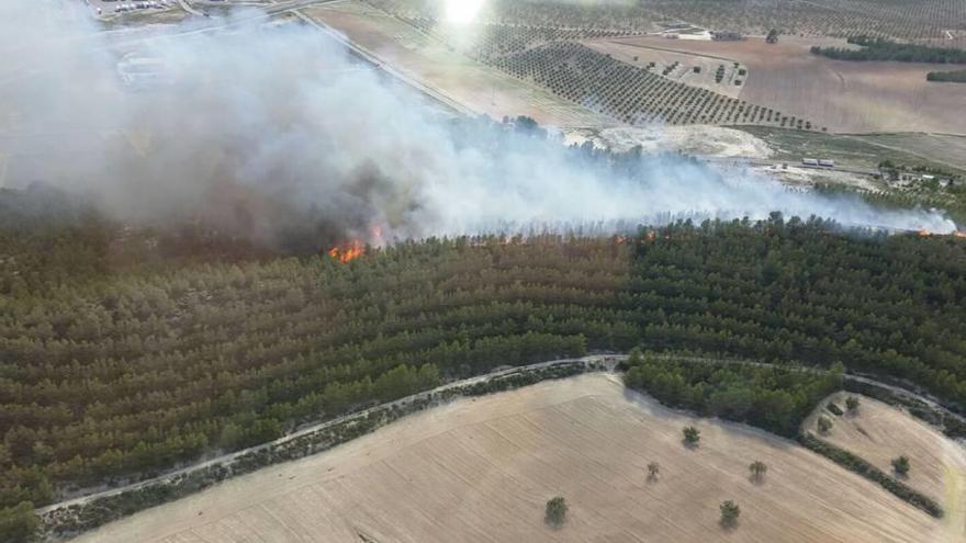 Arde parte del Cabezo del Doctor en Calasparra